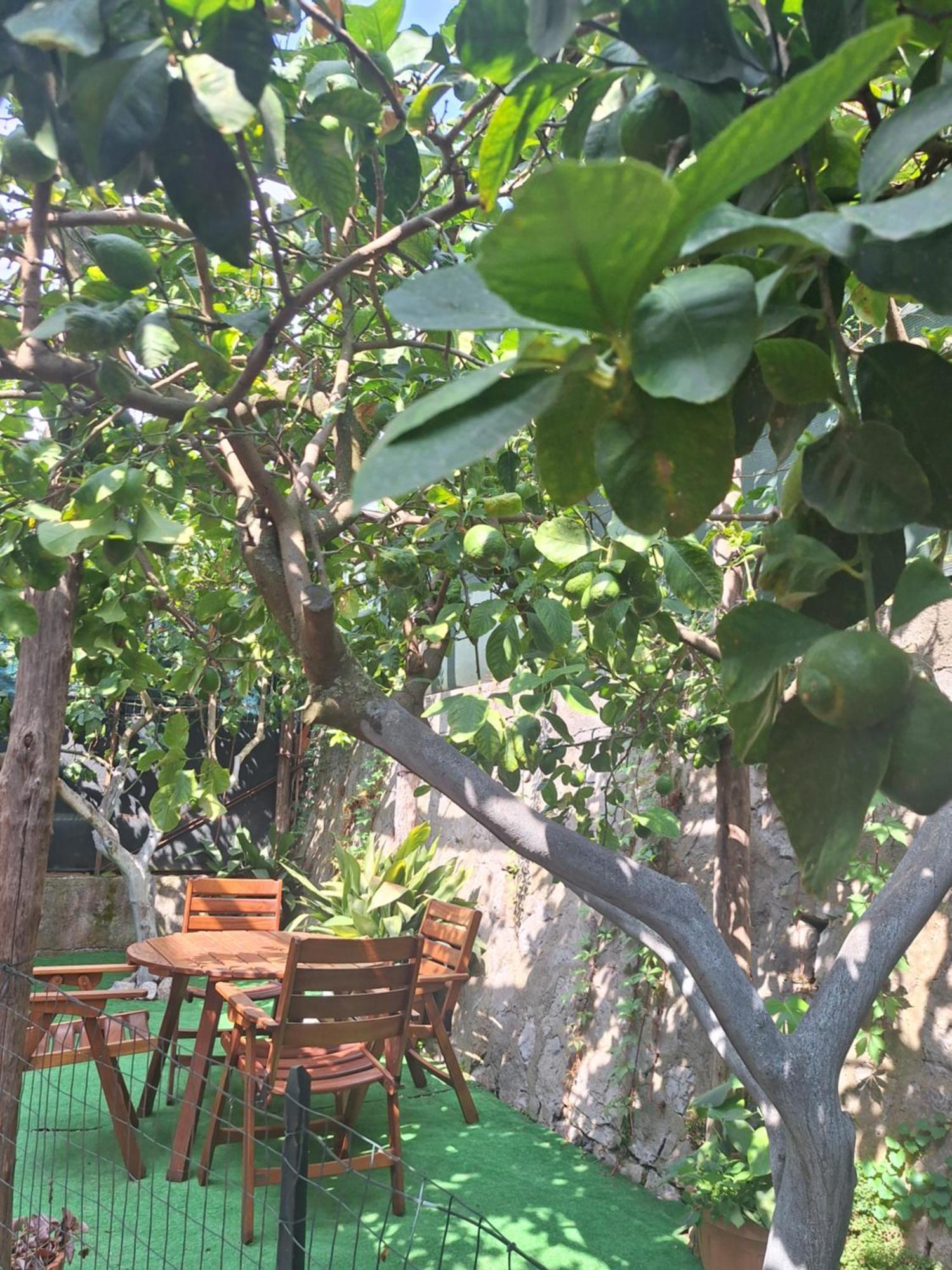 Grazia'S Home ซานตาเญลโล ภายนอก รูปภาพ
